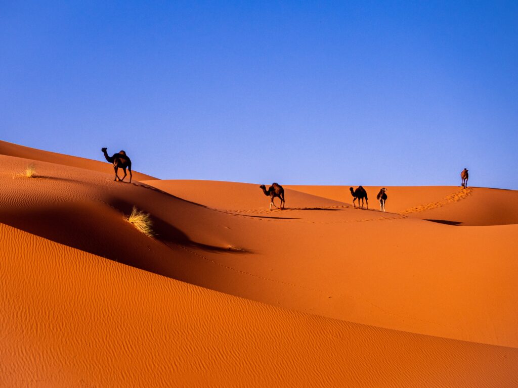 Marocco-viaggio-zemontour